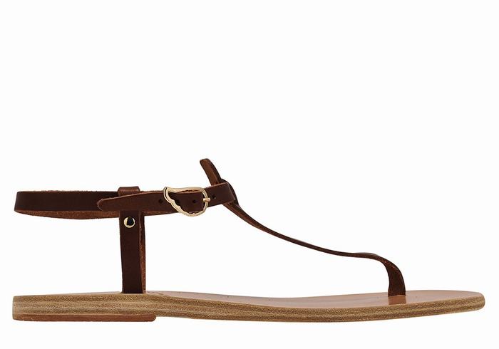 Sandali Con Cinturino Sul Retro Ancient Greek Sandals Lito Flip Flop Leather Donna Caffè | FKM7429FU