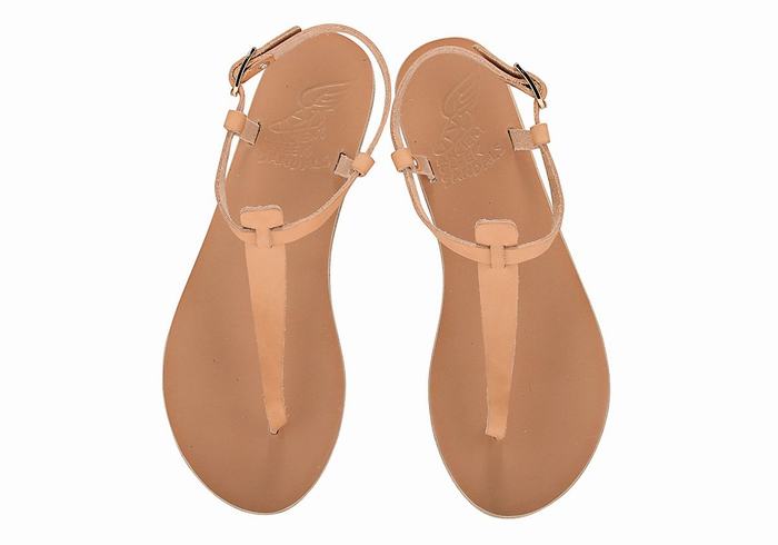 Sandali Con Cinturino Sul Retro Ancient Greek Sandals Lito Flip Flop Leather Donna Beige | RCP4577NT