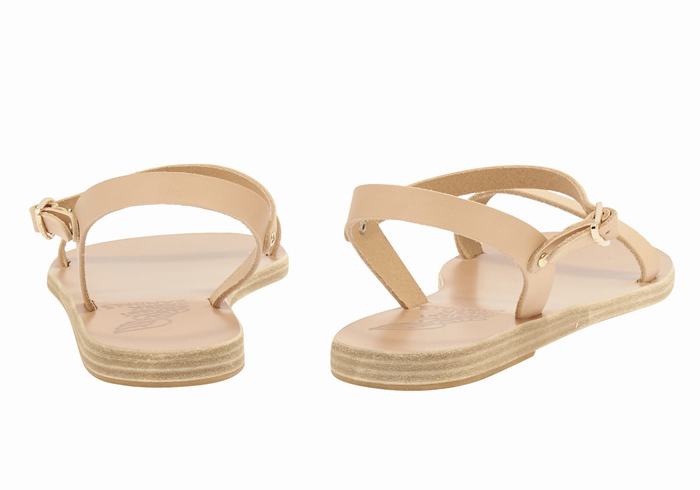 Sandali Con Cinturino Sul Retro Ancient Greek Sandals Irida Leather Donna Beige | TOQ9044CJ