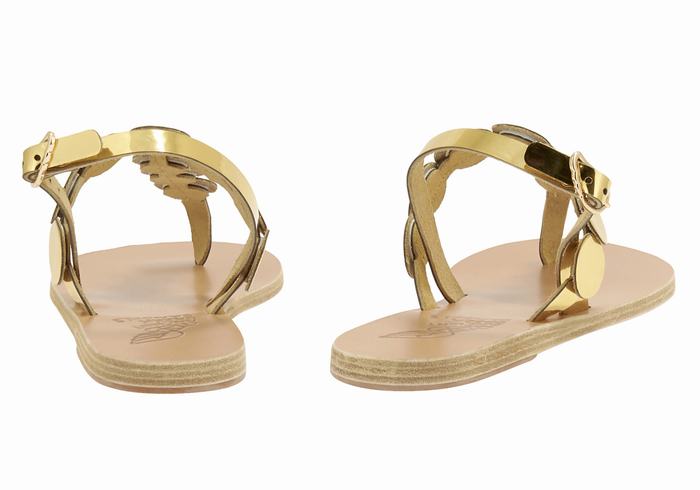 Sandali Con Cinturino Sul Retro Ancient Greek Sandals Ilios Flip Flop Leather Donna Oro | ZCO4836TS