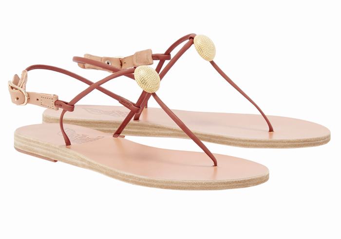 Sandali Con Cinturino Sul Retro Ancient Greek Sandals Dimitra Flip Flop Donna Rosse | BAM1711VX