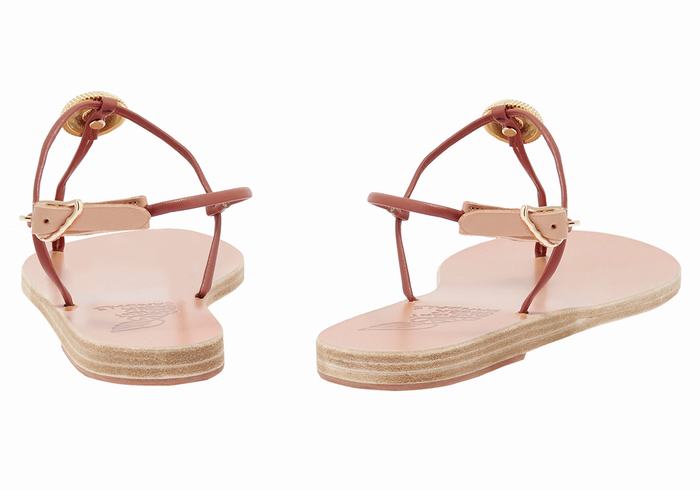 Sandali Con Cinturino Sul Retro Ancient Greek Sandals Dimitra Flip Flop Donna Rosse | BAM1711VX