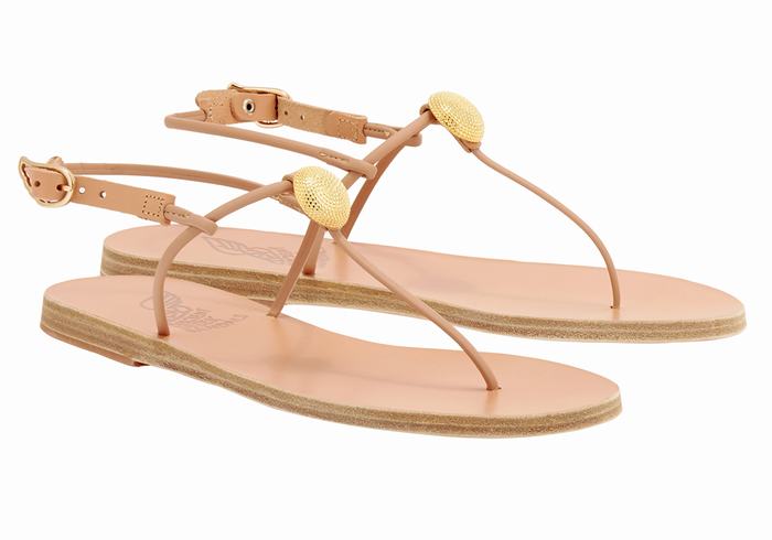 Sandali Con Cinturino Sul Retro Ancient Greek Sandals Dimitra Flip Flop Donna Beige | SCC9719WI