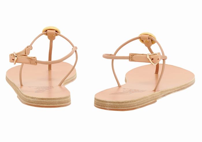 Sandali Con Cinturino Sul Retro Ancient Greek Sandals Dimitra Flip Flop Donna Beige | SCC9719WI