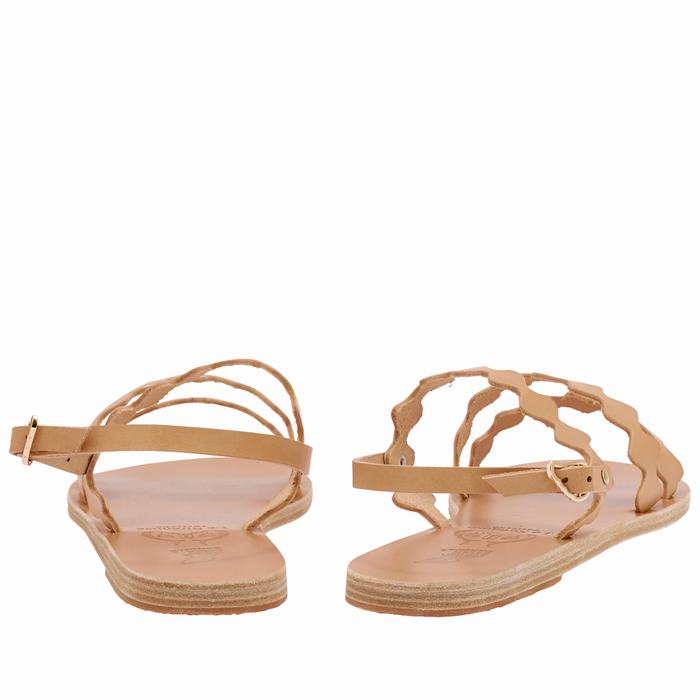 Sandali Con Cinturino Sul Retro Ancient Greek Sandals Clio Onda Donna Beige | EFI5657UY