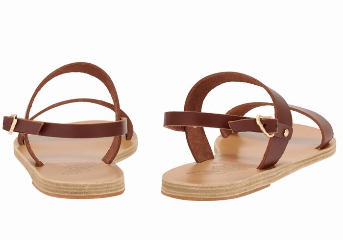 Sandali Con Cinturino Sul Retro Ancient Greek Sandals Clio Donna Caffè | YFK3330EJ