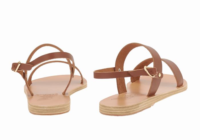 Sandali Con Cinturino Sul Retro Ancient Greek Sandals Clio Donna Marroni Scuro | QNN6391IK