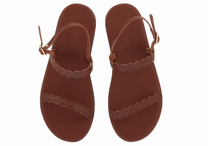 Sandali Con Cinturino Sul Retro Ancient Greek Sandals Aroula Donna Caffè | LKN8958EW