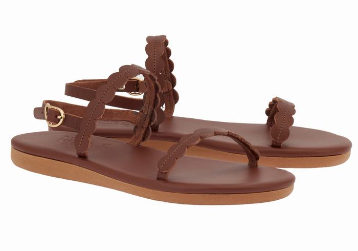 Sandali Con Cinturino Sul Retro Ancient Greek Sandals Aroula Donna Caffè | LKN8958EW