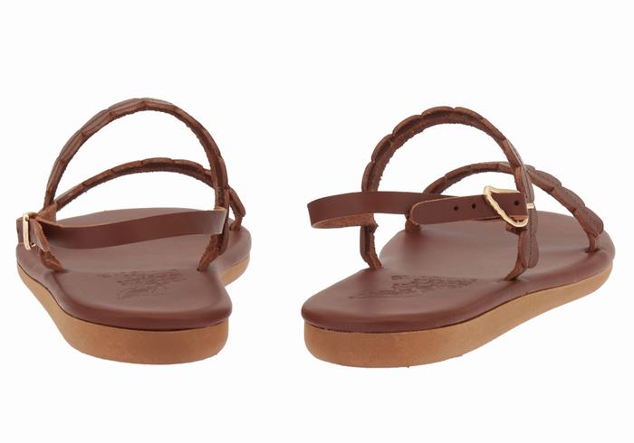 Sandali Con Cinturino Sul Retro Ancient Greek Sandals Aroula Donna Caffè | LKN8958EW