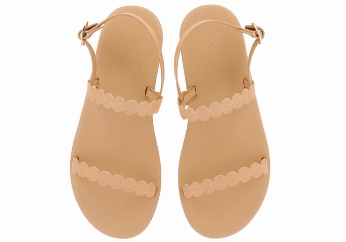 Sandali Con Cinturino Sul Retro Ancient Greek Sandals Aroula Donna Beige | GPW6653AO