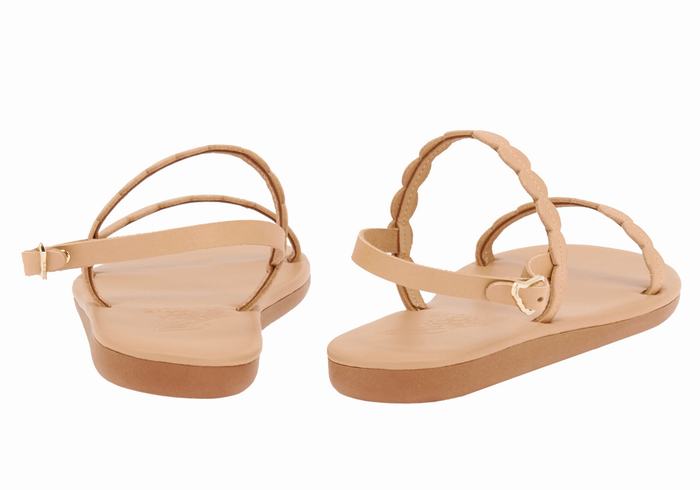 Sandali Con Cinturino Sul Retro Ancient Greek Sandals Aroula Donna Beige | GPW6653AO