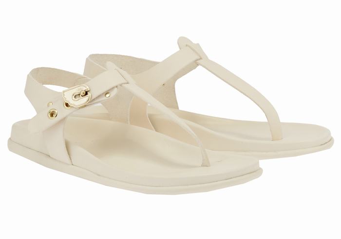 Sandali Con Cinturino Sul Retro Ancient Greek Sandals Alki Flip Flop Donna Bianche | IUW9033NY