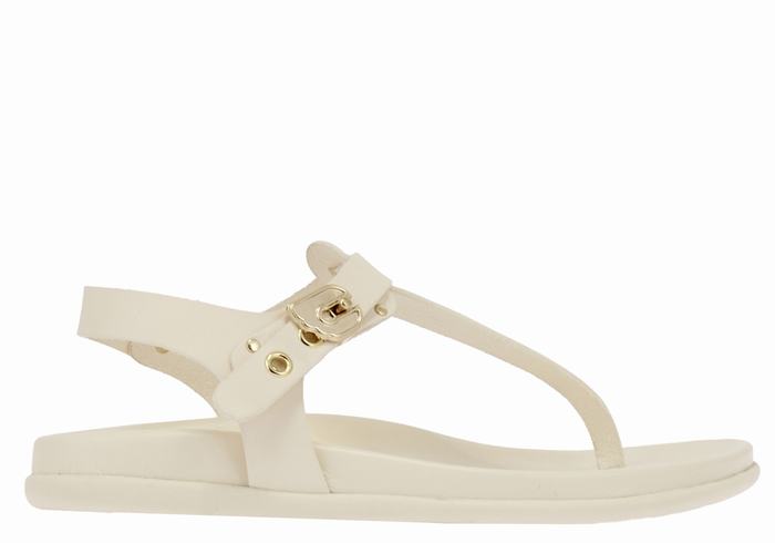 Sandali Con Cinturino Sul Retro Ancient Greek Sandals Alki Flip Flop Donna Bianche | IUW9033NY