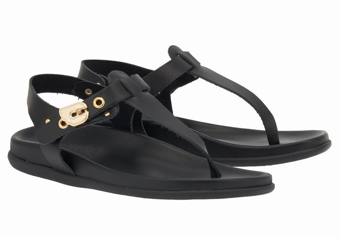 Sandali Con Cinturino Sul Retro Ancient Greek Sandals Alki Flip Flop Donna Nere | AXY8948UR