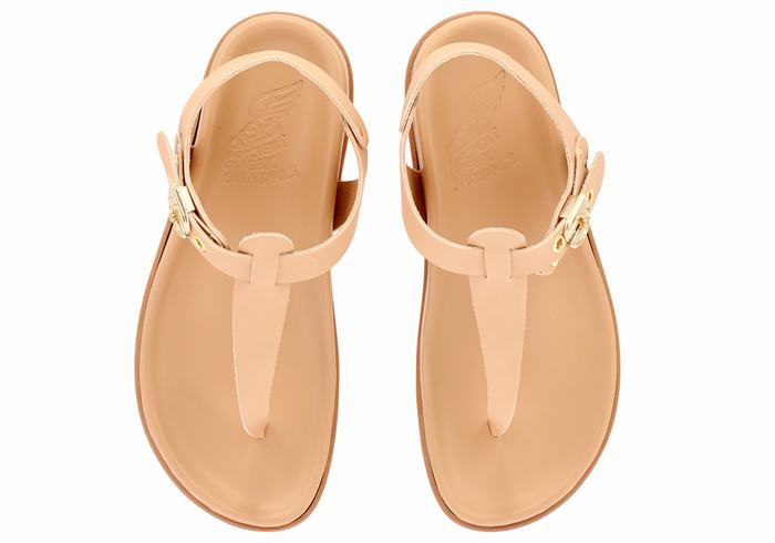 Sandali Con Cinturino Sul Retro Ancient Greek Sandals Alki Flip Flop Donna Beige | PQN3230FZ