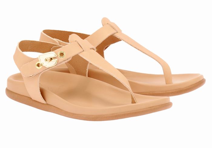 Sandali Con Cinturino Sul Retro Ancient Greek Sandals Alki Flip Flop Donna Beige | PQN3230FZ