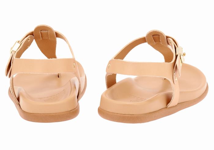 Sandali Con Cinturino Sul Retro Ancient Greek Sandals Alki Flip Flop Donna Beige | PQN3230FZ