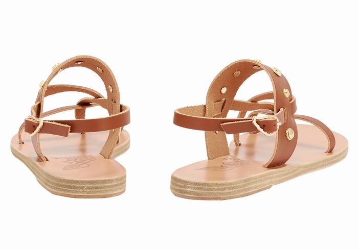 Sandali Con Cinturino Sul Retro Ancient Greek Sandals Alethea Bee Donna Marroni Scuro | ODN7799EZ