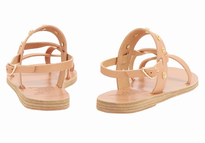 Sandali Con Cinturino Sul Retro Ancient Greek Sandals Alethea Bee Donna Beige | JDA3871JG