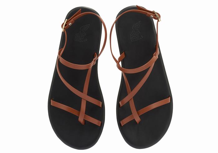 Sandali Con Cinturino Sul Retro Ancient Greek Sandals Alethea Donna Marroni Scuro | GDK5423CE