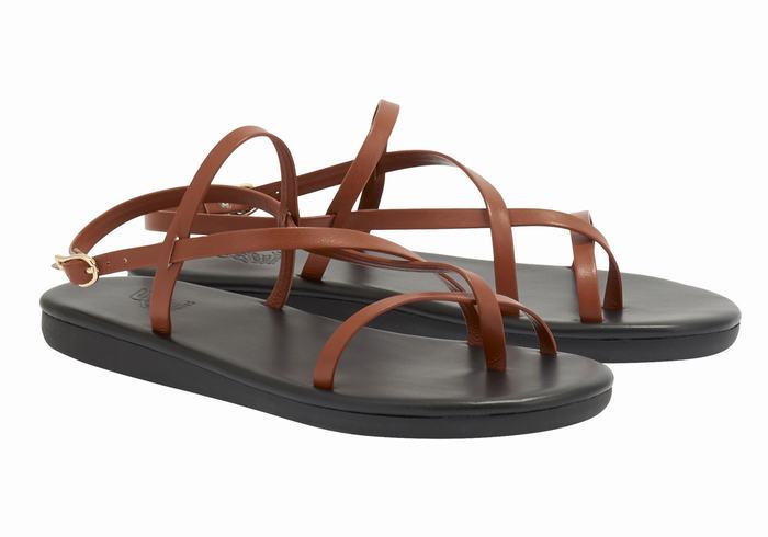 Sandali Con Cinturino Sul Retro Ancient Greek Sandals Alethea Donna Marroni Scuro | GDK5423CE