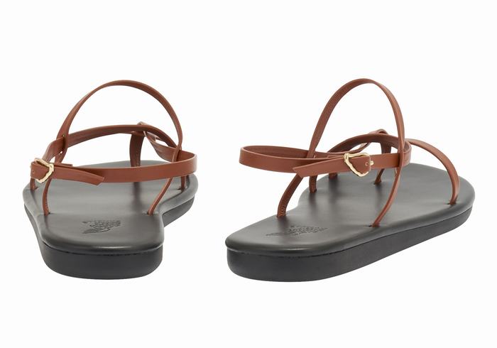 Sandali Con Cinturino Sul Retro Ancient Greek Sandals Alethea Donna Marroni Scuro | GDK5423CE