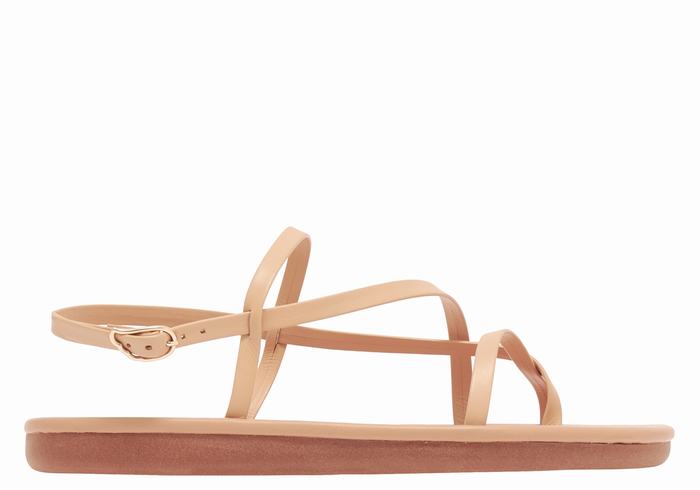 Sandali Con Cinturino Sul Retro Ancient Greek Sandals Alethea Donna Beige | RFY1787NX