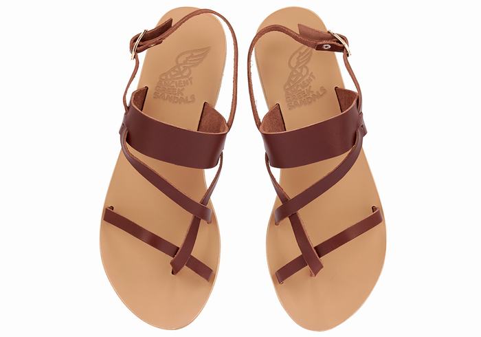 Sandali Con Cinturino Sul Retro Ancient Greek Sandals Alethea Leather Donna Caffè | XTT8751MG