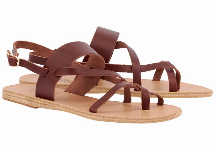 Sandali Con Cinturino Sul Retro Ancient Greek Sandals Alethea Leather Donna Caffè | XTT8751MG