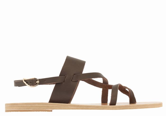 Sandali Con Cinturino Sul Retro Ancient Greek Sandals Alethea Donna Cioccolato | ODG879KB