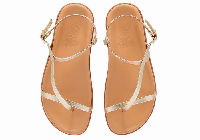 Sandali Con Cinturino Sul Retro Ancient Greek Sandals Aimilia Donna Oro Bianche | VAW6468TE