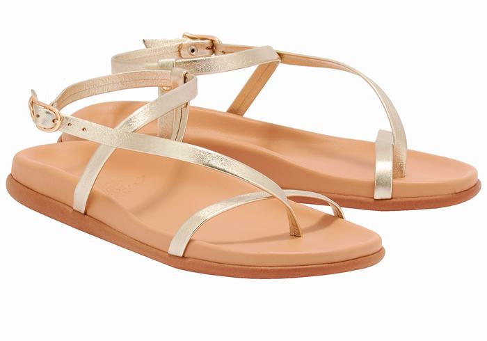 Sandali Con Cinturino Sul Retro Ancient Greek Sandals Aimilia Donna Oro Bianche | VAW6468TE