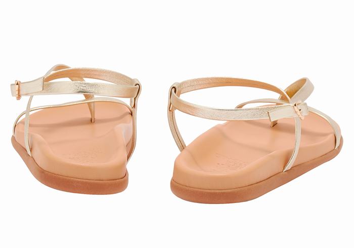 Sandali Con Cinturino Sul Retro Ancient Greek Sandals Aimilia Donna Oro Bianche | VAW6468TE