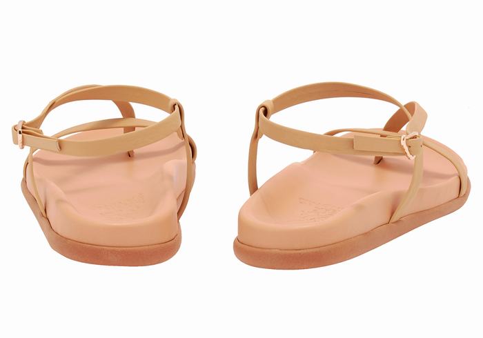 Sandali Con Cinturino Sul Retro Ancient Greek Sandals Aimilia Donna Beige | BFW8468OJ