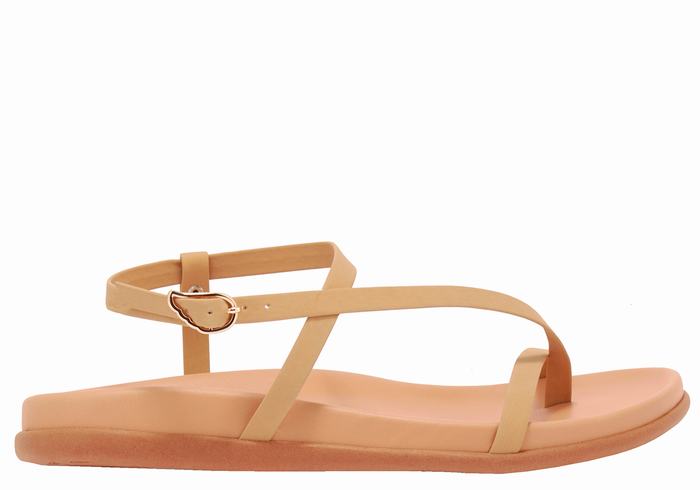 Sandali Con Cinturino Sul Retro Ancient Greek Sandals Aimilia Donna Beige | BFW8468OJ