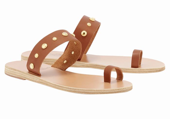 Sandali Con Puntale Ancient Greek Sandals Thalia Bee Donna Marroni Scuro | NSY831QC