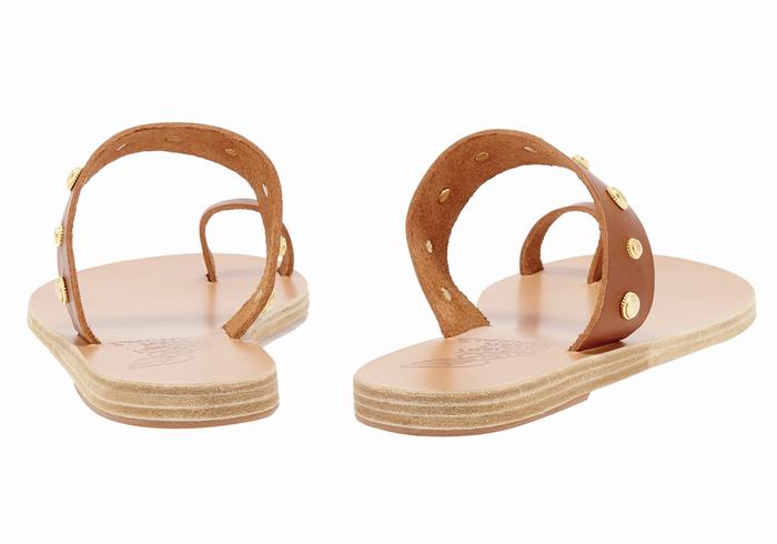 Sandali Con Puntale Ancient Greek Sandals Thalia Bee Donna Marroni Scuro | NSY831QC