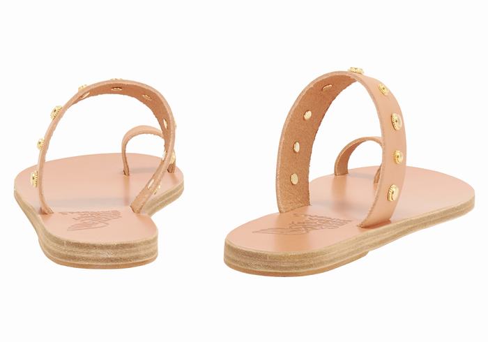 Sandali Con Puntale Ancient Greek Sandals Thalia Bee Donna Beige | AUA5130ZS