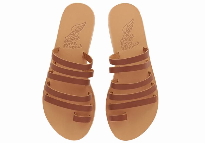 Sandali Con Puntale Ancient Greek Sandals Niki Leather Donna Marroni Scuro | MBG4966ZM