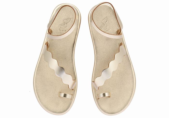 Sandali Con Puntale Ancient Greek Sandals Koralia Donna Oro Bianche | KAJ9130HF