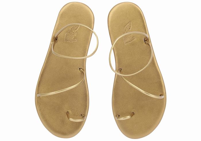 Sandali Con Puntale Ancient Greek Sandals Kansiz Donna Oro Marroni | LGU1393YG