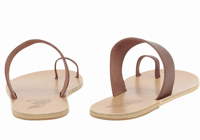 Sandali Con Puntale Ancient Greek Sandals Thalos Uomo Caffè | DCW8869QV