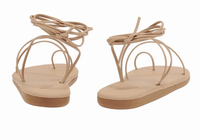 Sandali Con Puntale Ancient Greek Sandals Du Donna Beige | BPM2693WZ