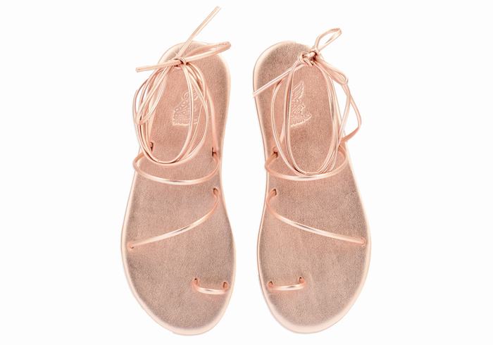 Sandali Con Puntale Ancient Greek Sandals Du Donna Rosa Oro | LTP6676DP