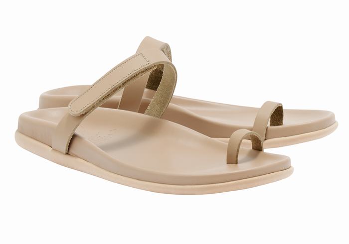 Sandali Con Puntale Ancient Greek Sandals Dokos Donna Grigie Marroni | APE7181TA