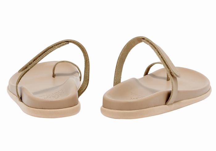 Sandali Con Puntale Ancient Greek Sandals Dokos Donna Grigie Marroni | APE7181TA