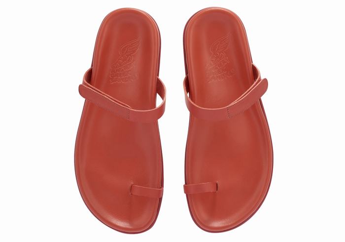 Sandali Con Puntale Ancient Greek Sandals Dokos Donna Rosse | DJB2711BG