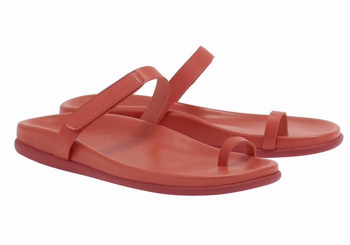 Sandali Con Puntale Ancient Greek Sandals Dokos Donna Rosse | DJB2711BG