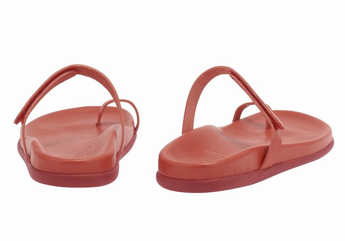 Sandali Con Puntale Ancient Greek Sandals Dokos Donna Rosse | DJB2711BG